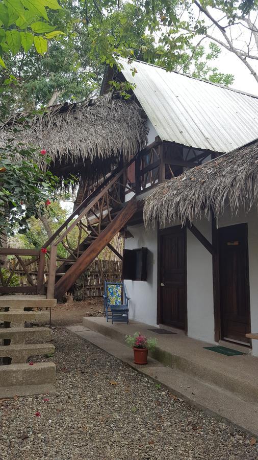 Las Cabanas De La Iguana อายัมเป ภายนอก รูปภาพ